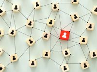 Führen von Expert:innen und Spezialist:innen
